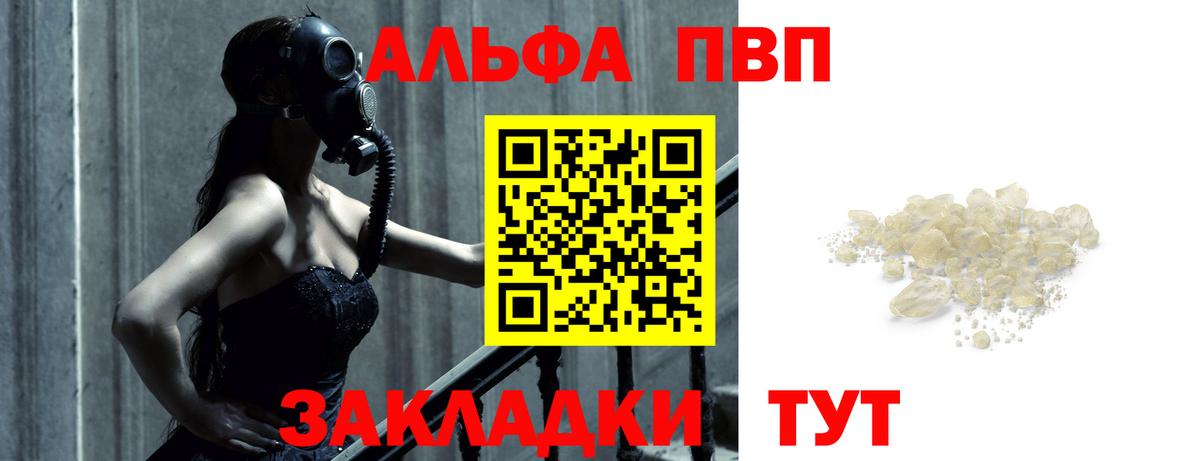 A PVP СК КРИС Ртищево