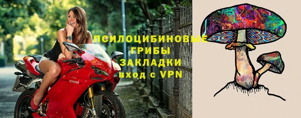 прущий лед Переславль-Залесский