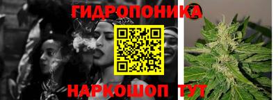 каннабис Кингисепп