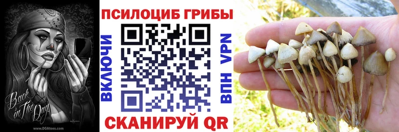 Псилоцибиновые грибы GOLDEN TEACHER магазин наркотиков гидра зеркало Ртищево